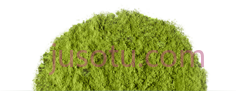 抹茶,粉 PNG
