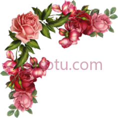 花卉角, PNG