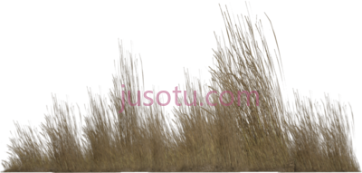 高草,icons PNG