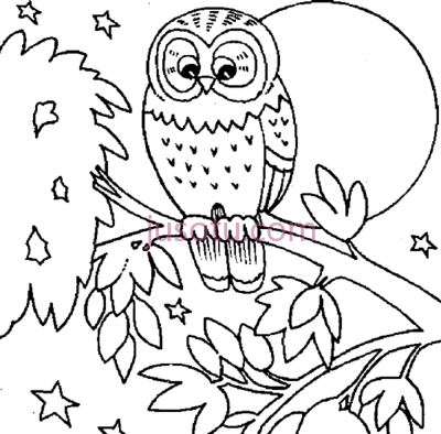猫头鹰,owl colouring sheets cute coloring pages getcoloringpages PNG