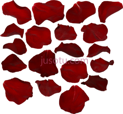 红色玫瑰花瓣,single red rose petal PNG