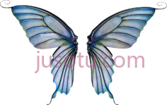 蝴蝶PNG