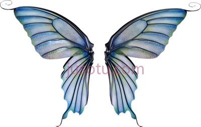 蝴蝶,fairy wings PNG