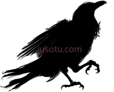 乌鸦,dead crow PNG