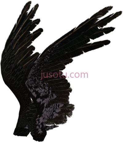 黑天使,black angel wings PNG