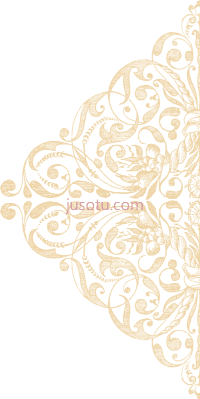 金花边,lace mapping PNG