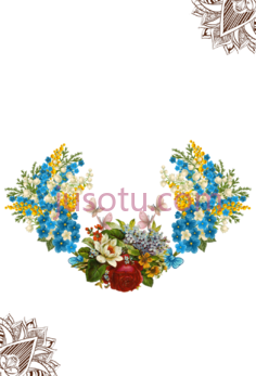 花, PNG