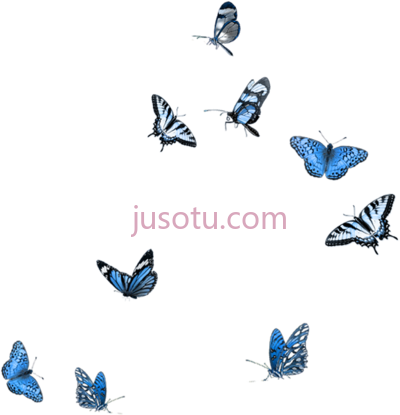 蓝色蝴蝶,butterfly party moth mood boards embellishments PNG