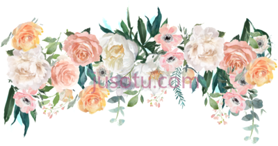 花朵,beautiful hand painted flowers PNG