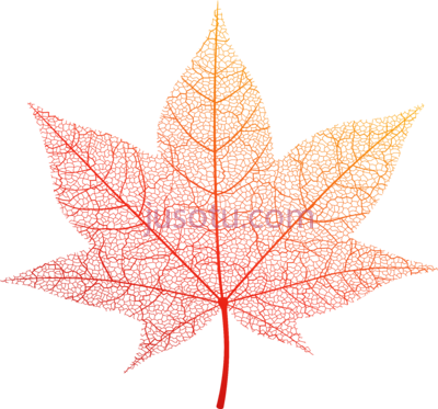橙色秋叶,orange autumn leaf art PNG