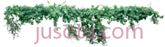 匍匐藤蔓PNG
