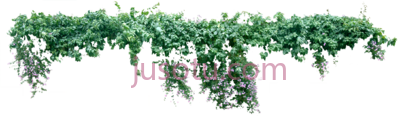匍匐藤蔓,creeper PNG