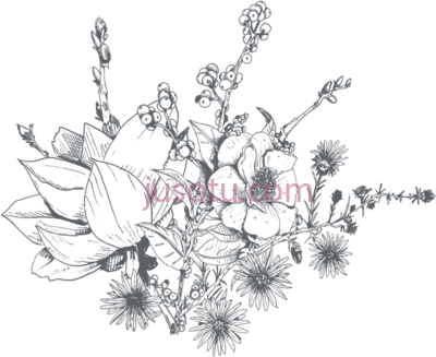 兰花,art amaryllis orchid flower PNG