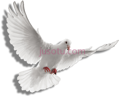圣灵鸽,holy spirit dove art PNG