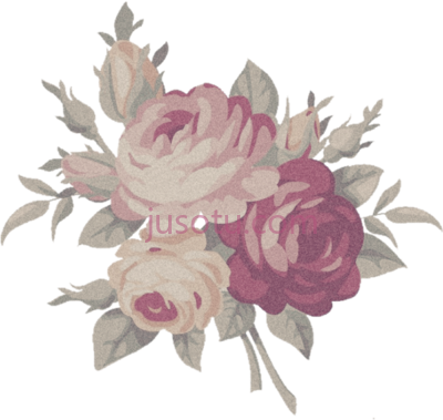 花玫瑰,flower PNG