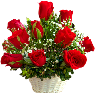 红玫瑰篮花,24 red roses basket flower PNG
