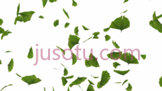 落叶PNG