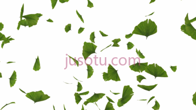 落叶,falling green leaves PNG