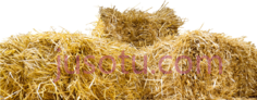 稻草PNG