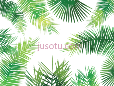 棕榈叶,watercolor palm leaves PNG