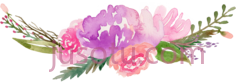 花卉水彩,watercolour flower PNG