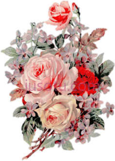 花朵红色粉色PNG