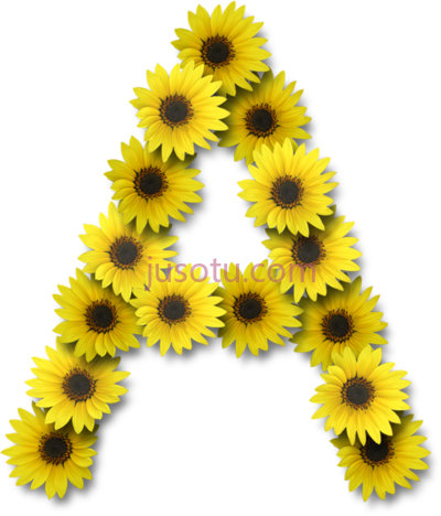 花向日葵字母A,alfabeto florido girassol PNG