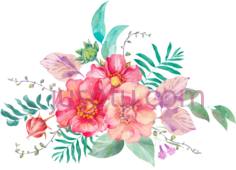 彩色插花水彩, PNG
