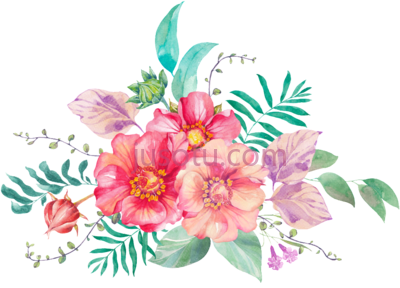 彩色插花水彩,colorful flower cartoon arrangements watercolor PNG