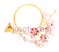 圆形花边框,floral PNG