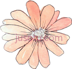 水彩桃花, PNG
