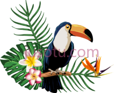热带植物鸟PNG