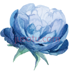 水彩蓝花PNG