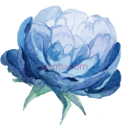 水彩蓝花,watercolor blue flower PNG