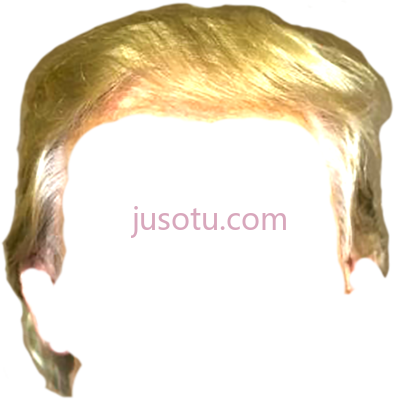 特朗普头发,trump hair PNG