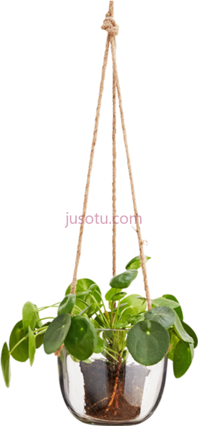 悬挂式玻璃花盆,hanging glass plant pot PNG