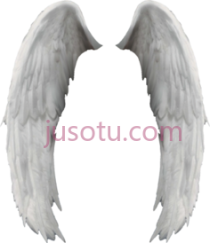 天使之翼PNG