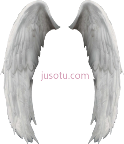 天使之翼,angel wings PNG