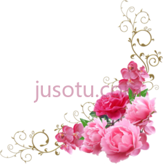 牡丹花,corner pink flower PNG