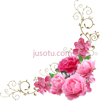 牡丹花,forgetmenot flowers peonies PNG
