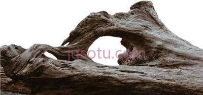 原木树木,log tribe tree wood morsch PNG