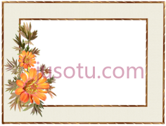 框花金边装饰PNG