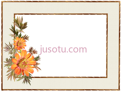 框花金边装饰,frame floral gold border decoration PNG