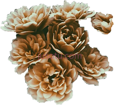 褐色花朵,brown flowers PNG