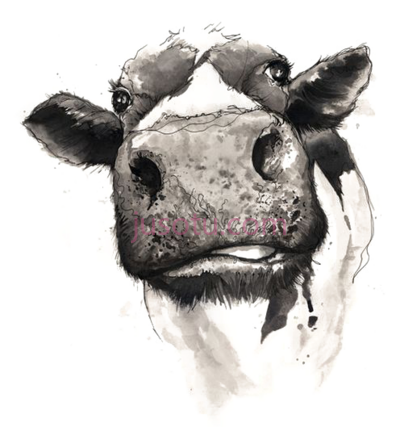 牛头,cattle watercolor painting PNG