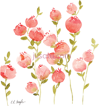 桃花水彩,peach floral coral watercolor flowers PNG