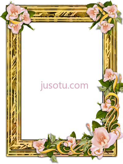 花金框,flower gold frames PNG