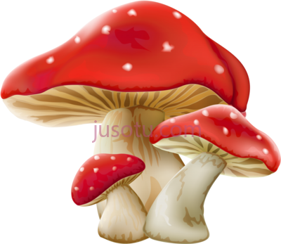 蘑菇,mushroom PNG