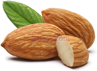 坚果杏仁叶,andalucia nuts almonds leaf trasp PNG