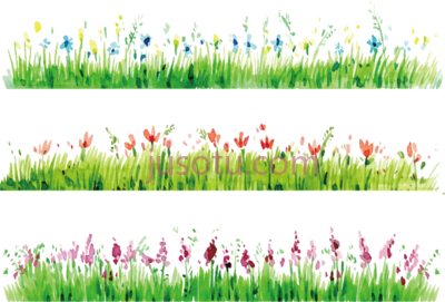 花草,watercolor painting flower PNG